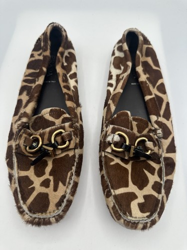 Prada zebra pony - zebra, horsebit