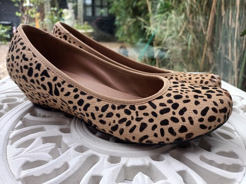 Hotter party leopard - party,