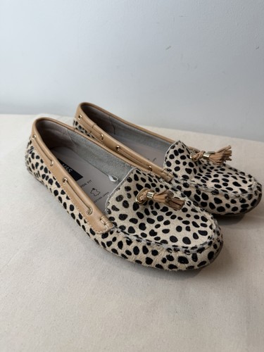 Pony skin leopard print - leopard,